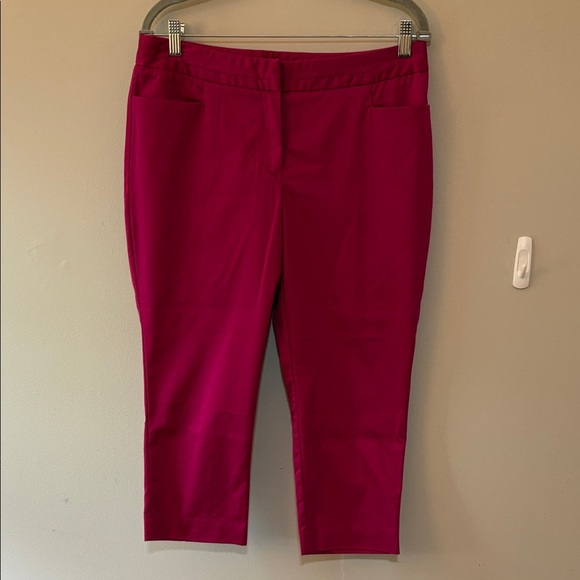 Worthington Pink Ankle Pants Size 10P - Picture 1 of 6